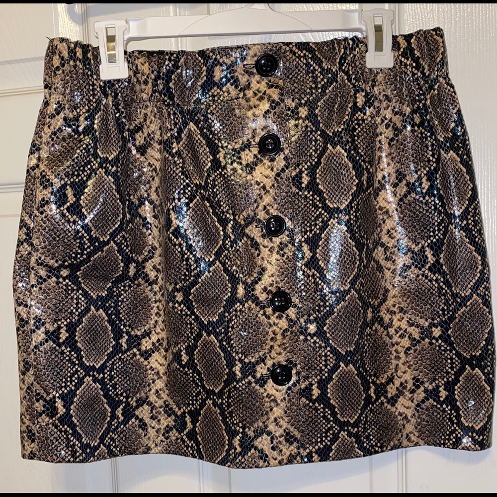 Zara Snake Print Skirt